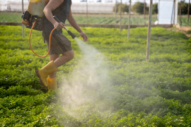 Best Best Pest Control Near Me  in Mountain View, AR