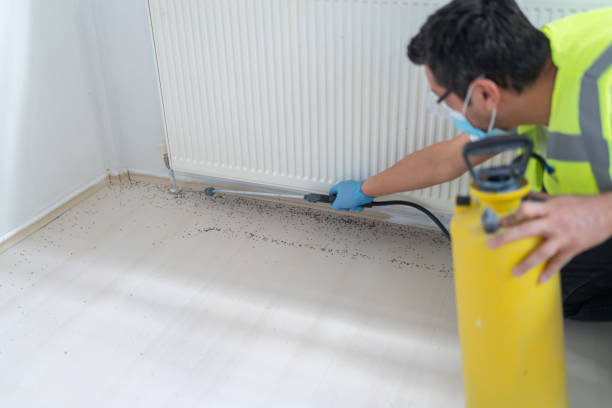 Reliable Mountain View, AR Pest Control Solutions